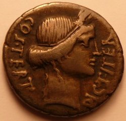 Caesar av.jpg