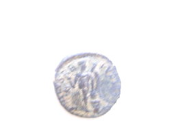 IMGP0153.JPG