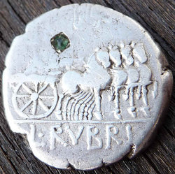 rubrius_rev_II.jpg