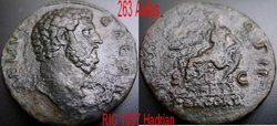 263-Aelius.jpg