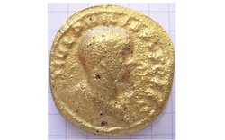 Philippus_Front.JPG