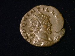 Quintillus.JPG