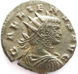 gallbibaa 011.JPG