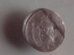 IMAG0019.JPG