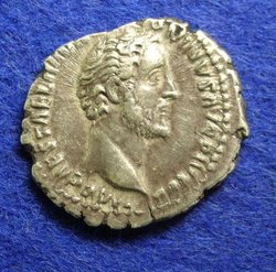 1429a.jpg