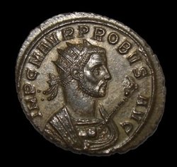 Probus right325.jpg