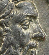 portrait_11.jpg