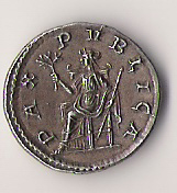 Pupienus2.jpg