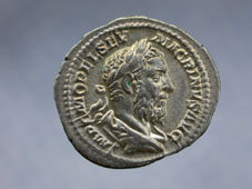 11_macrinus.jpg