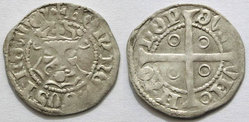 Witten(1,15g).jpg