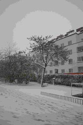 Winter3.jpg