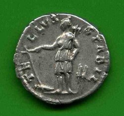 Denar Hadrianus C. 1427 Rv. TELLVS STABIL. Tellus l.steh. m. Pflug u. Harke..jpg
