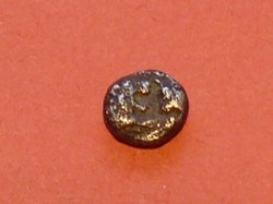 P1010555.JPG