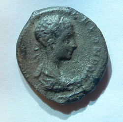 P1050376.jpg