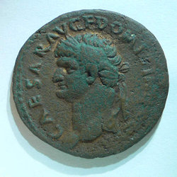 P1050384.jpg