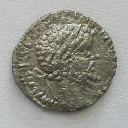 P1050433.jpg