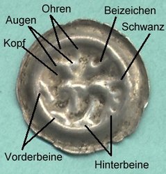 löwenpfennig.jpg