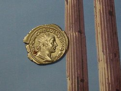 volusianus a.JPG
