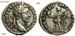 commodus lib avg.jpg