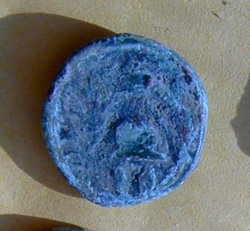 PICT1670_1helm.jpg