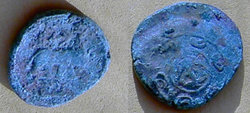 PICT1670elefanti.jpg