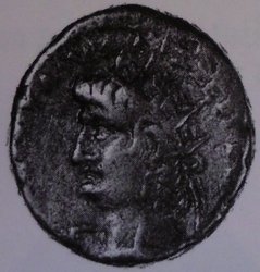 nero av.jpg