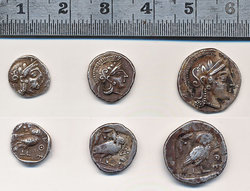 Athena-F.jpg
