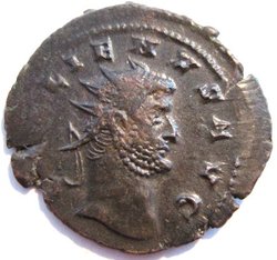 gallienus neu feb 033.JPG