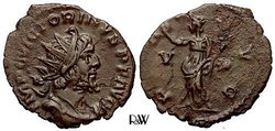la_victorinus_2_13g_17-20mm_.jpg