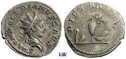 si_saloninus_21-23mm_3_33g_125_.jpg