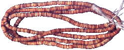 Muschelscheibengeld Solomom Ins.gif
