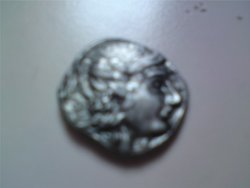 DSC01420.JPG
