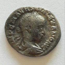 sev_alex_antioch_av.jpg