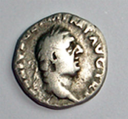 nepo1.jpg