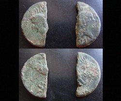 Nemausus_Nimwegen.JPG