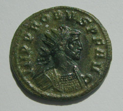 probus1.jpg