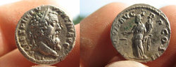 PertinaxFAC_2.jpg
