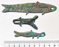 China-Fische.jpg