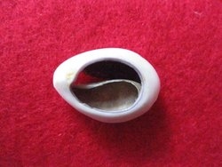 Kauri_Yin_Yang_ischbierra.JPG