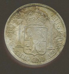falscher Spanier 1.jpg
