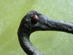 P1000997_WEB.jpg
