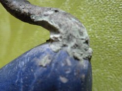 P1000998_WEB.jpg