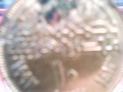 DSC-0064.jpg