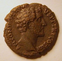 44 - av_850x840.jpg