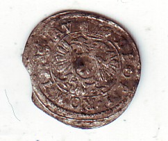 Buchhorn1.jpg