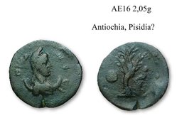 AE16 Pisidia.jpg
