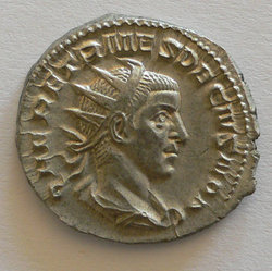 etruscus.jpg