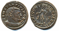 const chlorus follis.jpg