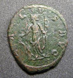 carausius rv.jpg