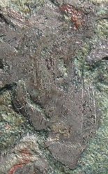 tlos_detail1.jpg